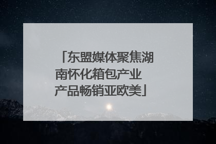 东盟媒体聚焦湖南怀化箱包产业 产品畅销亚欧美