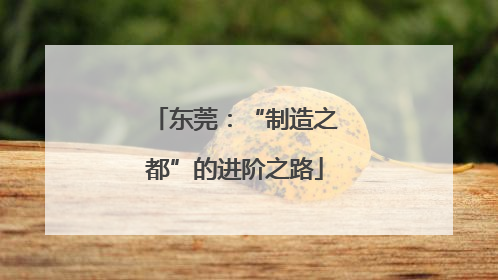 东莞：“制造之都”的进阶之路