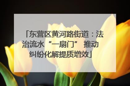 东营区黄河路街道：法治流水“一扇门” 推动纠纷化解提质增效