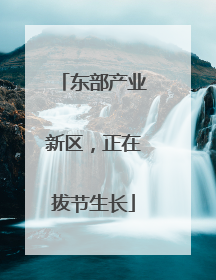 东部产业新区，正在拔节生长
