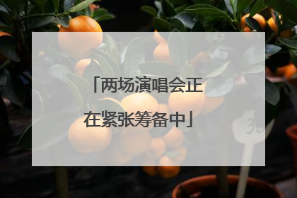 两场演唱会正在紧张筹备中