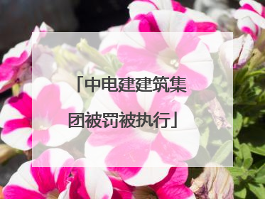 中电建建筑集团被罚被执行