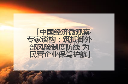 中国经济微观察·专家谈构：筑抵御外部风险制度防线 为民营企业保驾护航