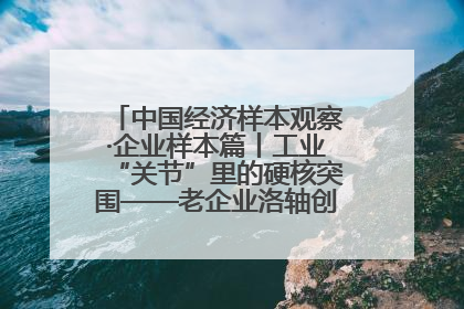 中国经济样本观察·企业样本篇丨工业“关节”里的硬核突围——老企业洛轴创新蝶变启示录