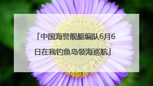 中国海警舰艇编队6月6日在我钓鱼岛领海巡航