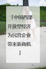 中国西部开放型经济为民营企业带来新商机