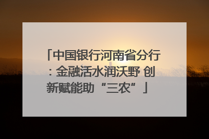 中国银行河南省分行：金融活水润沃野 创新赋能助“三农”