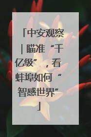 中安观察｜瞄准“千亿级”，看蚌埠如何“智感世界”