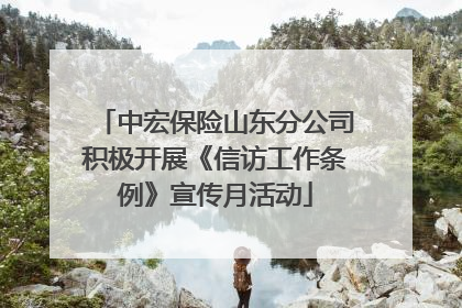 中宏保险山东分公司积极开展《信访工作条例》宣传月活动