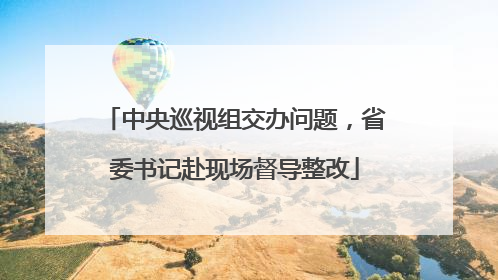 中央巡视组交办问题，省委书记赴现场督导整改