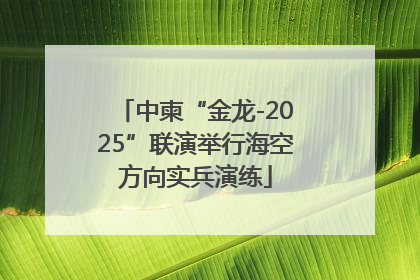 中柬“金龙-2025”联演举行海空方向实兵演练