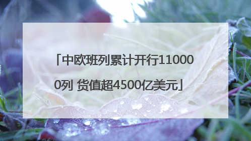 中欧班列累计开行110000列 货值超4500亿美元