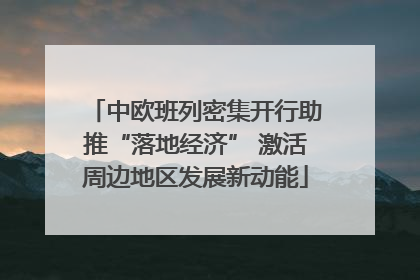 中欧班列密集开行助推“落地经济” 激活周边地区发展新动能