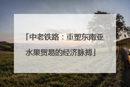 中老铁路：重塑东南亚水果贸易的经济脉搏