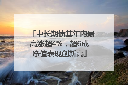 中长期债基年内最高涨超4%，超6成净值表现创新高