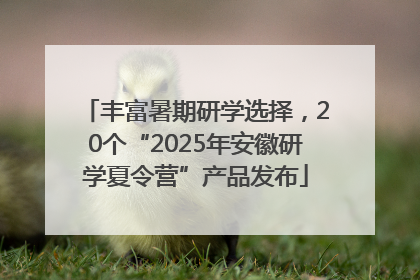 丰富暑期研学选择，20个“2025年安徽研学夏令营”产品发布