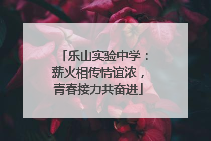 乐山实验中学：薪火相传情谊浓，青春接力共奋进