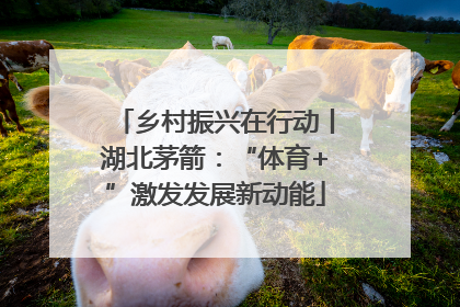 乡村振兴在行动丨湖北茅箭：“体育+”激发发展新动能