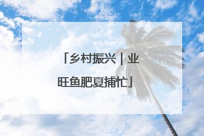 乡村振兴｜业旺鱼肥夏捕忙