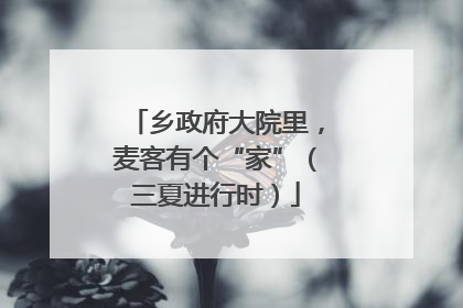 乡政府大院里，麦客有个“家”（三夏进行时）