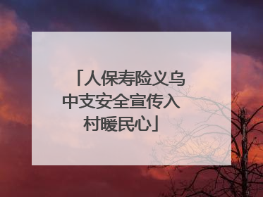 人保寿险义乌中支安全宣传入村暖民心