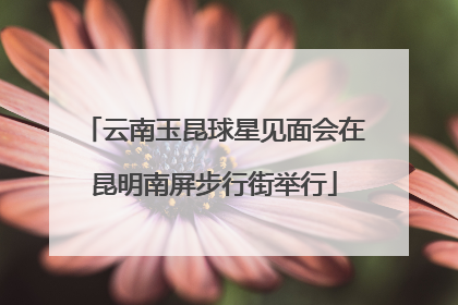 云南玉昆球星见面会在昆明南屏步行街举行