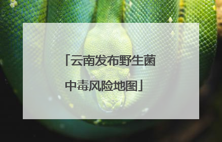 云南发布野生菌中毒风险地图