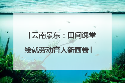 云南景东：田间课堂绘就劳动育人新画卷
