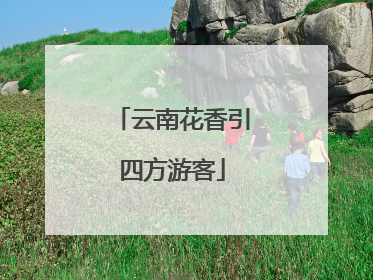 云南花香引四方游客
