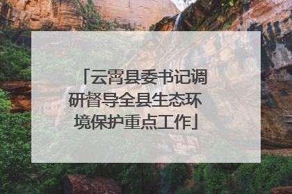 云霄县委书记调研督导全县生态环境保护重点工作