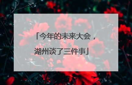今年的未来大会，湖州谈了三件事
