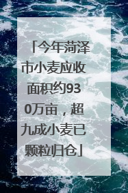 今年菏泽市小麦应收面积约930万亩，超九成小麦已颗粒归仓