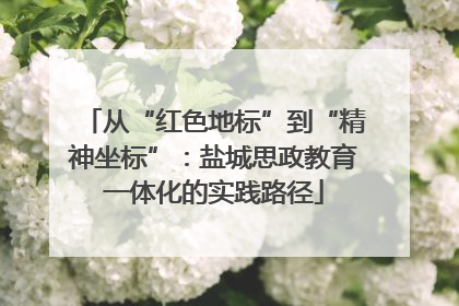 从“红色地标”到“精神坐标”：盐城思政教育一体化的实践路径