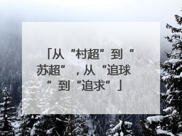 从“村超”到“苏超”，从“追球”到“追求”