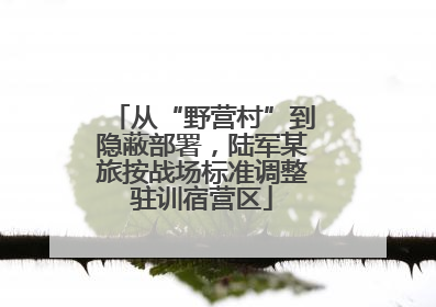 从“野营村”到隐蔽部署，陆军某旅按战场标准调整驻训宿营区