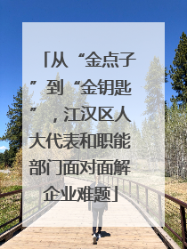 从“金点子”到“金钥匙”，江汉区人大代表和职能部门面对面解企业难题
