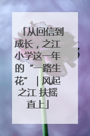 从回信到成长，之江小学这一年的“一路生花”｜风起之江 扶摇直上