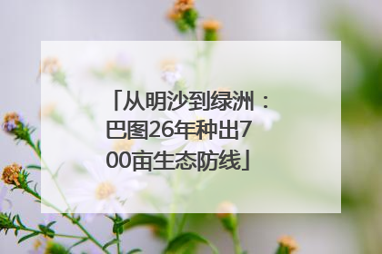 从明沙到绿洲：巴图26年种出700亩生态防线