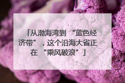 从渤海湾到 “蓝色经济带”，这个沿海大省正在 “乘风破浪”