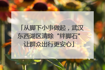 从脚下小事做起，武汉东西湖区清除“绊脚石”让群众出行更安心