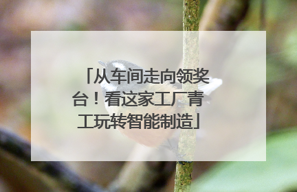 从车间走向领奖台！看这家工厂青工玩转智能制造
