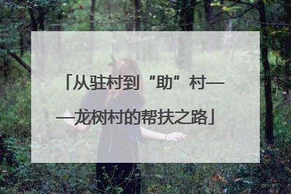 从驻村到“助”村——龙树村的帮扶之路