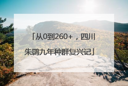 从0到260+，四川朱鹮九年种群复兴记