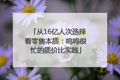 从16亿人次选择看零售本质：鸣鸣很忙的质价比实践