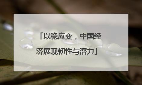 以稳应变，中国经济展现韧性与潜力