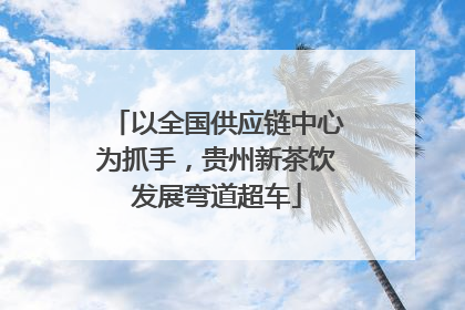以全国供应链中心为抓手，贵州新茶饮发展弯道超车