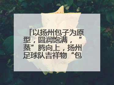 以扬州包子为原型，圆润饱满，“蒸”腾向上，扬州足球队吉祥物“包赢”亮相即售罄