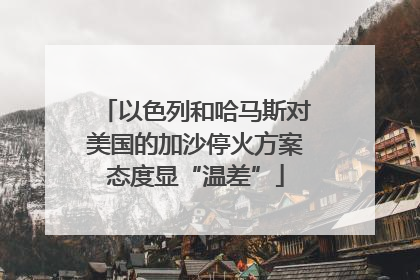 以色列和哈马斯对美国的加沙停火方案态度显“温差”