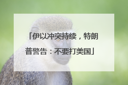 伊以冲突持续，特朗普警告：不要打美国