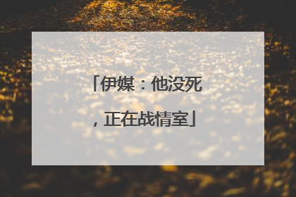 伊媒：他没死，正在战情室